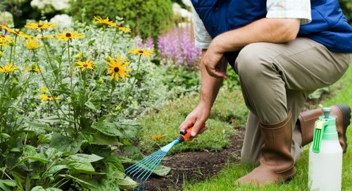 Qualified gardener inspecting tools and safety equipment