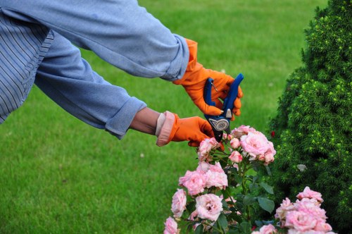 Team member wearing PPE and receiving training during hedge trimming operations