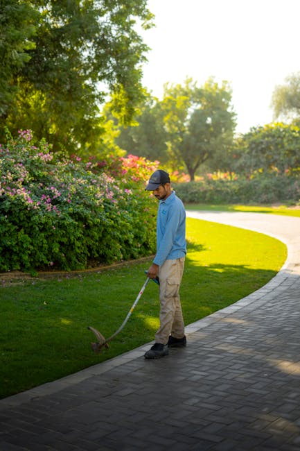 A man wearing a blue T-shirt is trimming a dense green hedge with electric hedge shears in a garden during daytime. The hedge has a mix of bright and darker green foliage, with some small flowering br