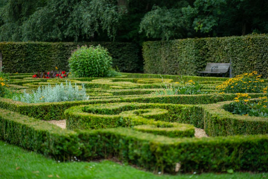 A meticulously maintained formal garden featuring neatly trimmed, low boxwood hedges arranged in a geometric pattern with rectangular and square borders. Bright yellow flowering plants are intersperse